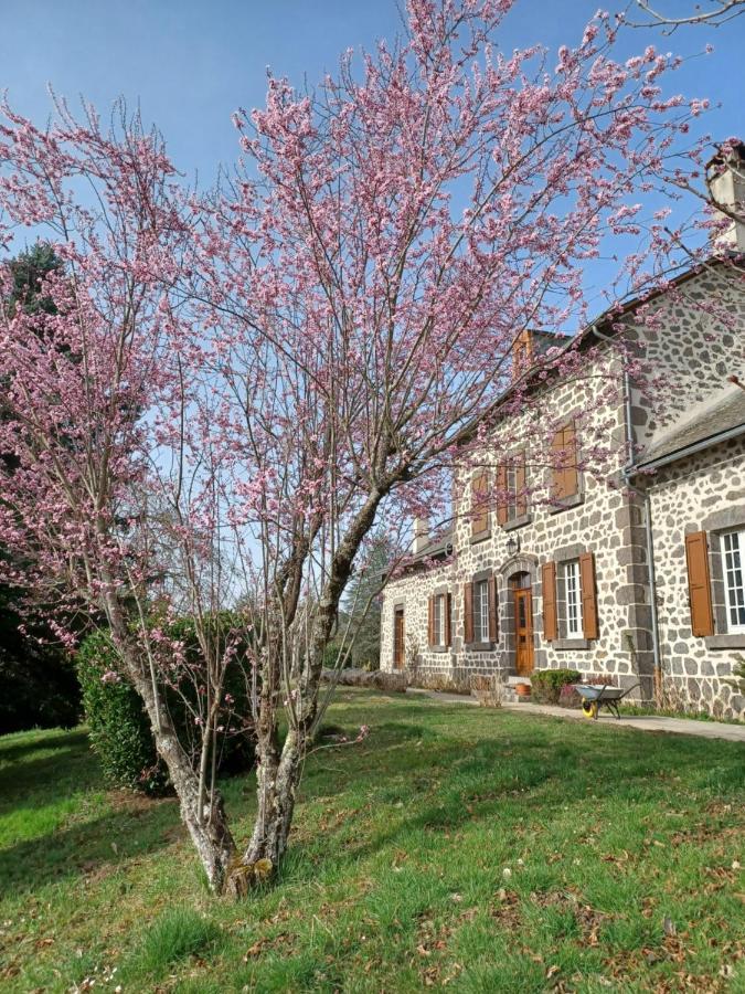 La Grange De Lily Vic-sur-Cère